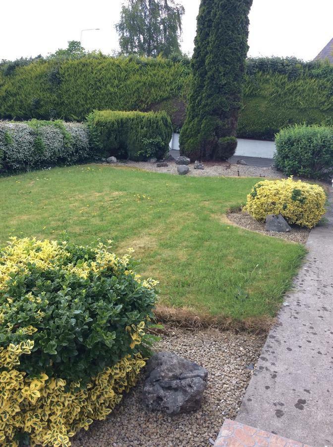 Riverside House Bed and Breakfast Roscommon Eksteriør billede